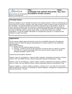 Standard for Ageing Walleyes in Alberta