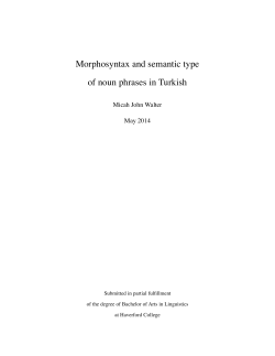 Morphosyntax and semantic type of noun phrases in Turkish