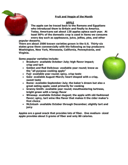 Fruit and Veggie of the Month APPLE The apple can be traced back