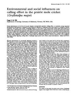 Environmental and social influences on calling effort in the prairie