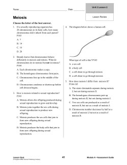 Meiosis - Peoria Public Schools