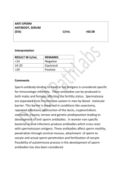 ANTI SPERM ANTIBODY, SERUM (EIA) U/mL