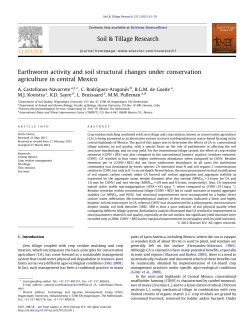 Earthworm activity and soil structural changes under