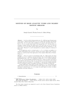 MOTIVES OF RIGID ANALYTIC TUBES AND NEARBY