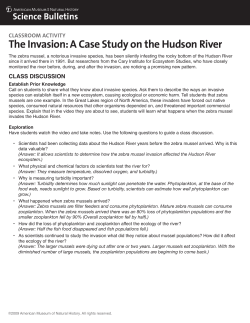 The Invasion: A Case Study on the Hudson River