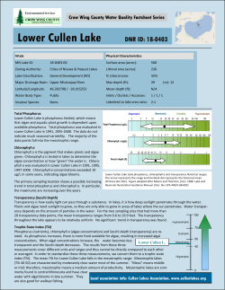 Lower Cullen Lake - Crow Wing County