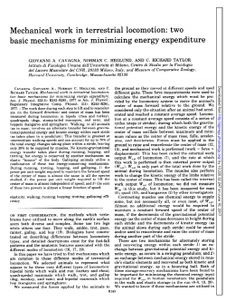 Mechanical work in terrestrial locomotion: two basic mechanisms for