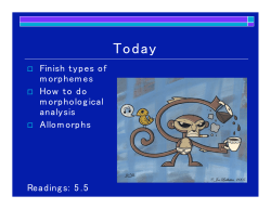 Finish types of morphemes How to do morphological analysis