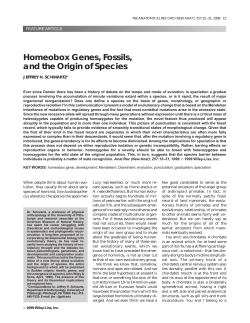 Homeobox genes, fossils, and the origin of species