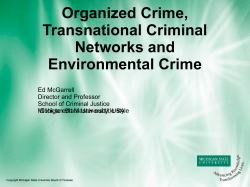 Organized Crime, Transnational Criminal Networks and