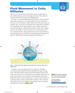 Fluid Movement in Cells: Diffusion