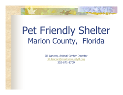 Pet Friendly Shelter