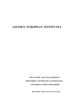 sussex european institute