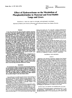 Effect of Hydrocortisone on the Metabolism of