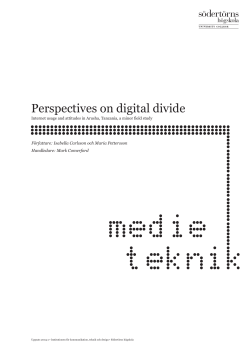 Perspectives on digital divide