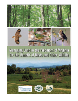 Managing Land in the Piedmont of Virginia for the Benefit of Birds