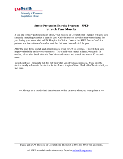 Stretch Your Muscles