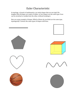 Euler Characteristic