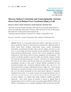 Mercury Induces Cytotoxicity and Transcriptionally Activates Stress