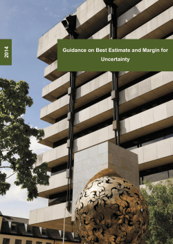 2014 Guidance on Best Estimate and Margin for Uncertainty