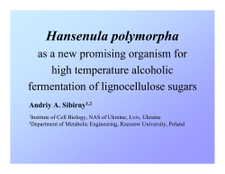 Hansenula Polymorpha as a New Promising Organism for High