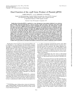 Dual Function of the copR Gene Product of Plasmid pIP501