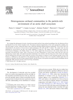 Heterogeneous archaeal communities in the particle
