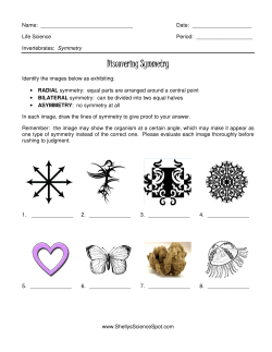 Discovering Symmetry - Shelly`s Science Spot