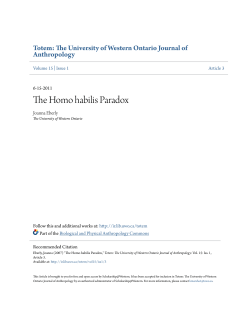 The Homo habilis Paradox