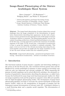 Image-Based Phenotyping of the Mature Arabidopsis Shoot System