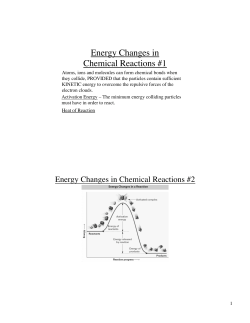 Chapter 17 Note Outline