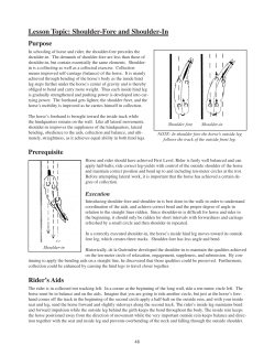 Lesson Topic: Shoulder-Fore and Shoulder-In