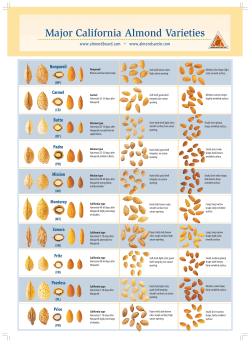 Major California Almond Varieties