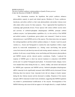BEDRI KARAKAS The role of sorbitol synthesis in photosynthesis of