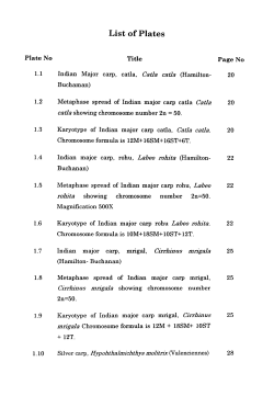 07_list of plates