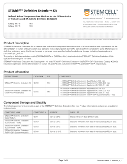 STEMdiff&trade; Definitive Endoderm Kit
