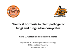 Chemical hormesis in plant pathogenic fungi and fungus