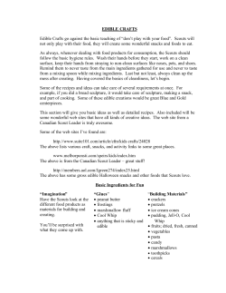 Edible Crafts - East Windsor CT Pack 89