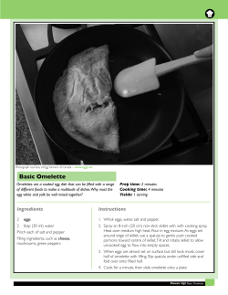 Basic Omelette