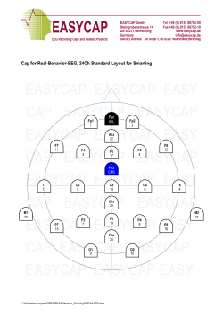 Cap for Real-Behavior-EEG, 24Ch Standard Layout
