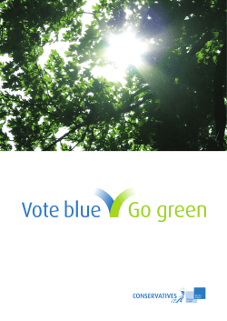 13 page pdf - Conservative Home