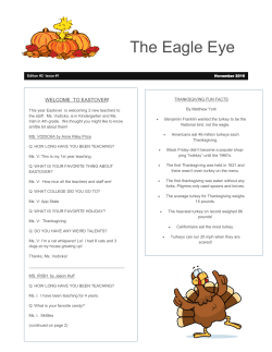 The Eagle Eye