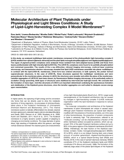 Molecular Architecture of Plant Thylakoids under