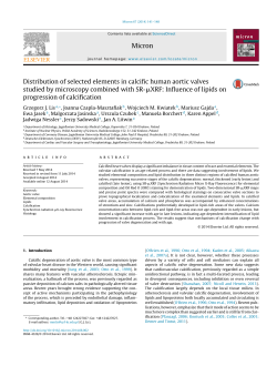 Distribution of selected elements in calcific human aortic valves