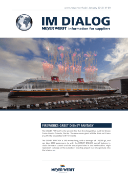 fireworks greet disney fantasy