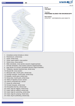 1. Unicellular animal (Ameba or other) 2. Paramecium, whole