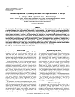 The landing&ndash;take-off asymmetry of human running is enhanced in