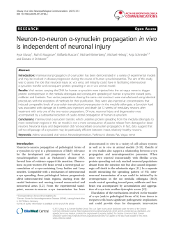 Neuron-to-neuron α-synuclein propagationin vivois independent of