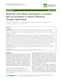 Molecular and cellular mechanisms of neutral lipid accumulation in