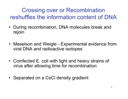 Crossing over or Recombination reshuffles